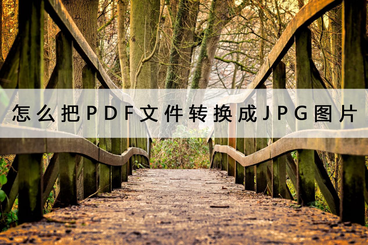 怎麼把pdf文件轉換成jpg圖片?這招收藏以後用得著