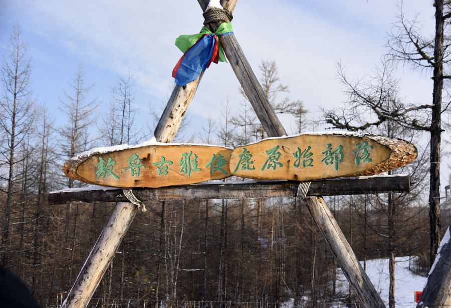 探秘哈尔滨玉泉国际狩猎场,自然与刺激的完美结合