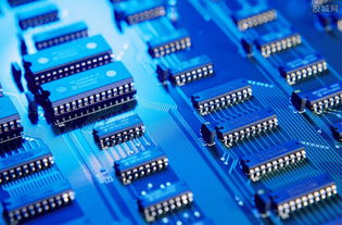 利扬芯片:发掘未来的科技新星