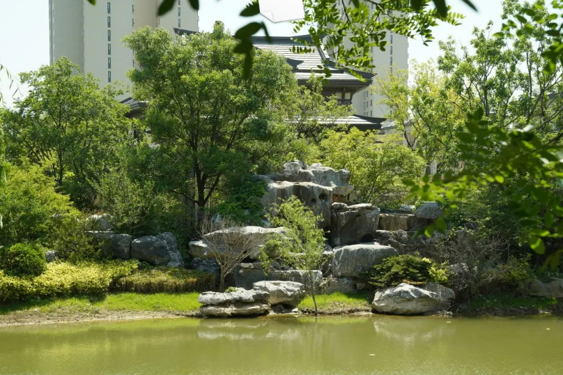 齐河新城玺樾 赏景初夏 自然至境