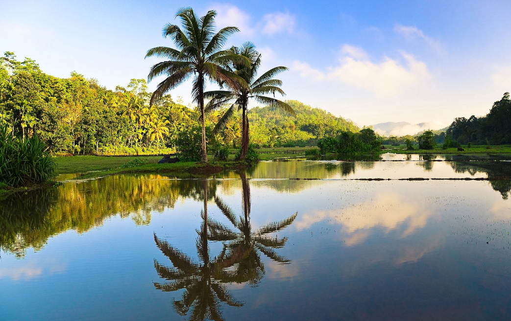 四季如夏,斯里兰卡,带你领略热带风情
