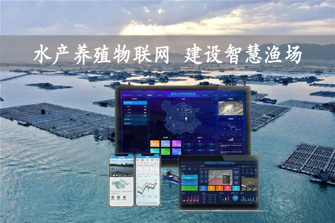 水产养殖物联网应用,智能化水产养殖,建设智慧渔场