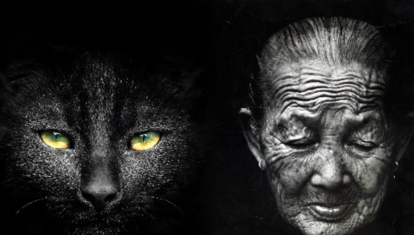 虚构故事:揭露猫脸老太太事件真相,亲历者死状恐怖,真相令人痛心