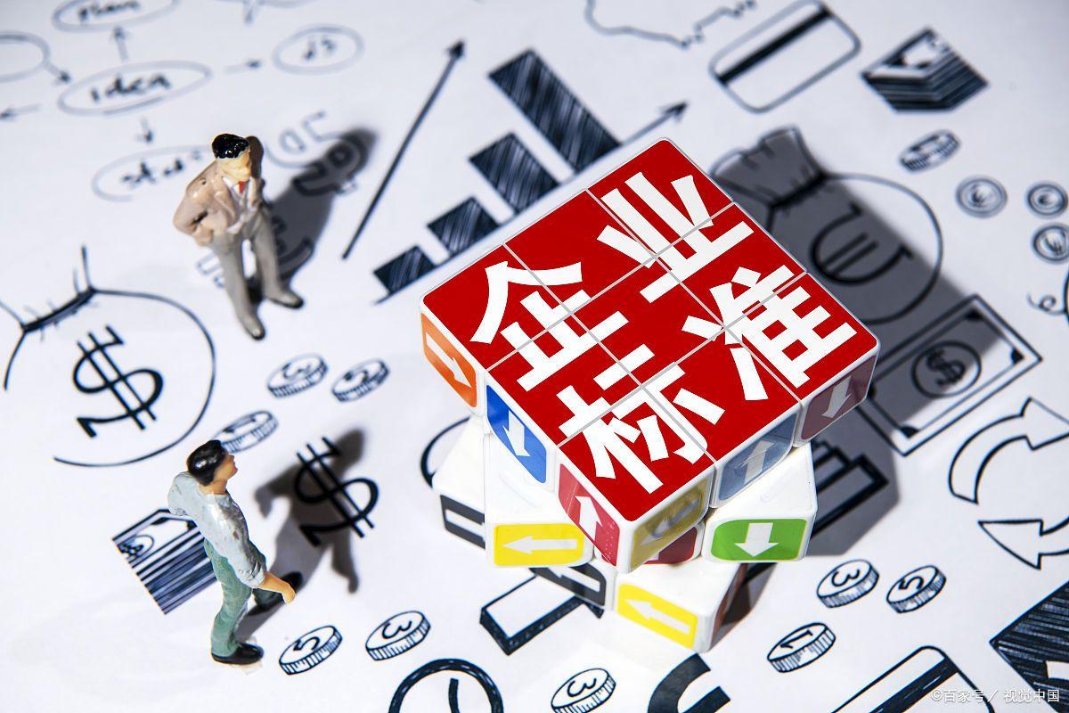 企业标准申报流程