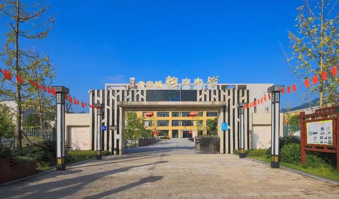 每日高新一校——重庆大学城树人小学
