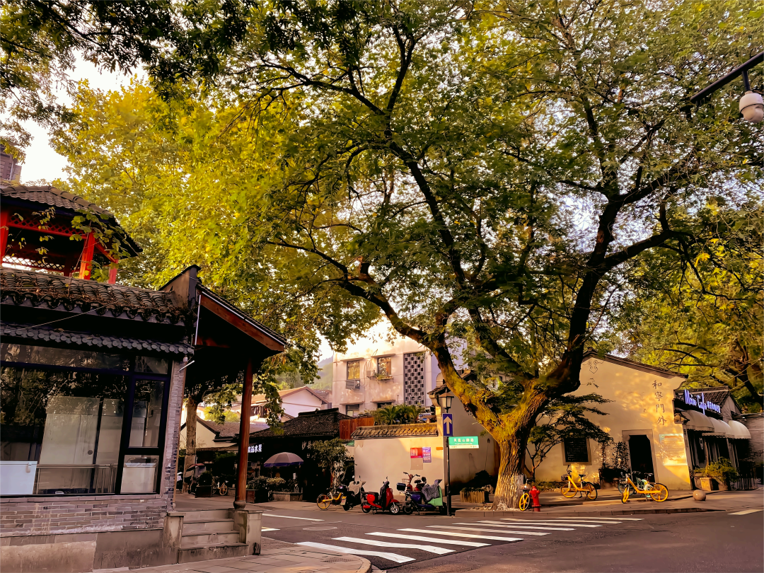 闲走馒头山社区,寻觅巷子里的慢时光