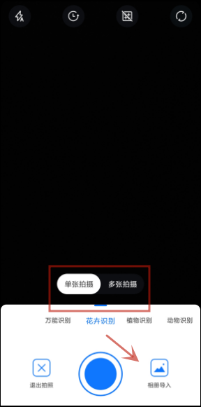 花卉识别扫一扫怎么操作?快速扫一扫识别花卉