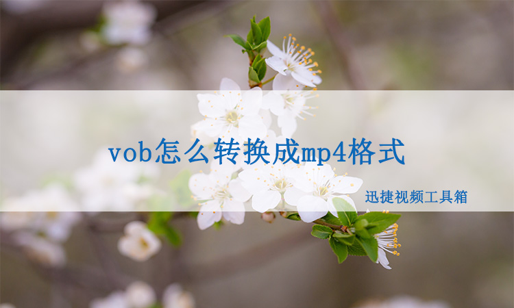 vob怎么转换成mp4格式,这样做手把手教你