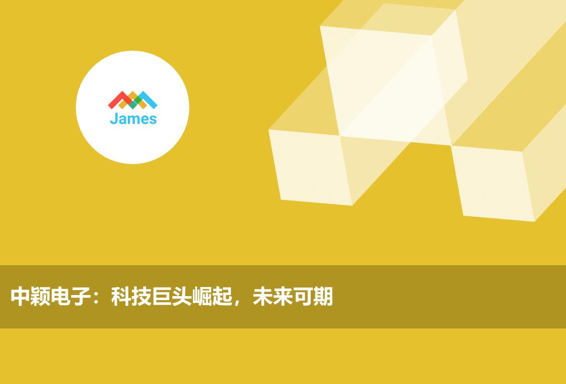 中颖电子:科技巨头崛起,未来可期
