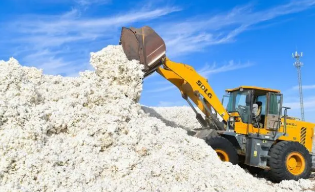 阿迪达斯认错了,想要和中国和好,因为在华业绩大幅度下降