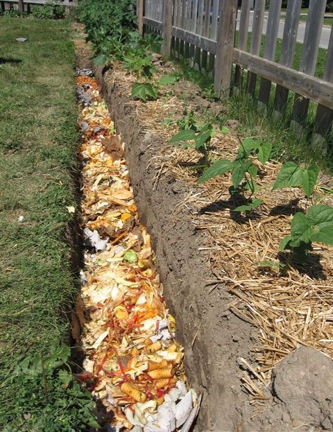 自制堆肥桶,给花草施肥,将厨余垃圾再利用,肥料都省了不少的钱
