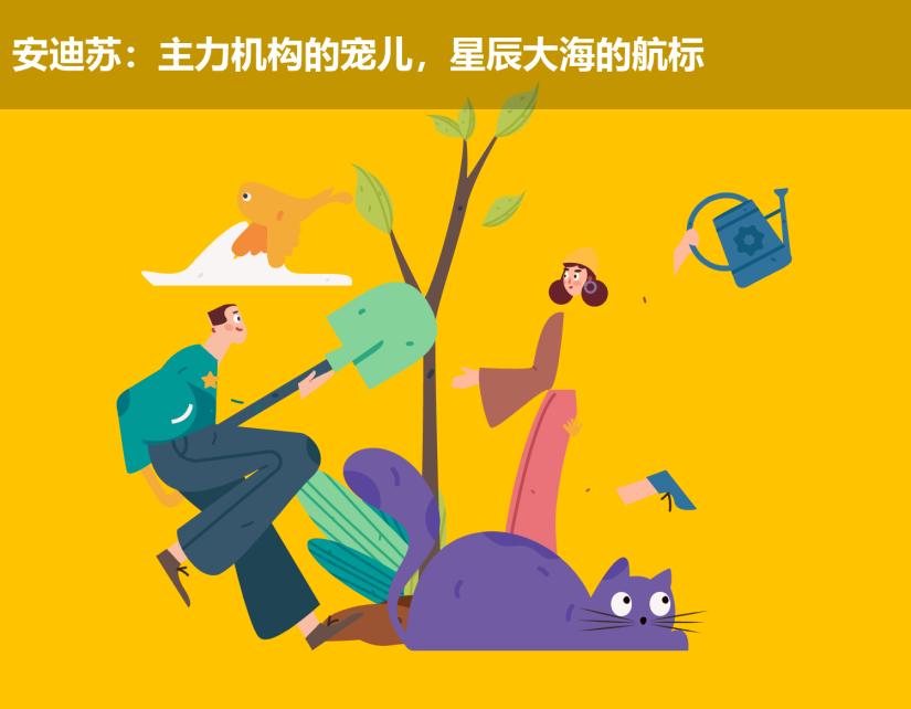 安迪苏:主力机构的宠儿,星辰大海的航标