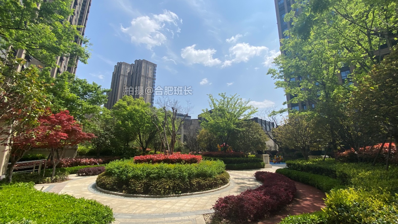 近年较少见的围合式布局小区,实探政务东高铁都市花园小区!