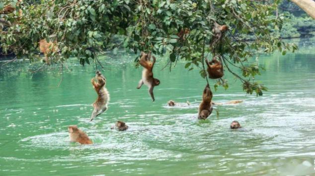 耍子耍出美猴王,好奇闹出水帘洞