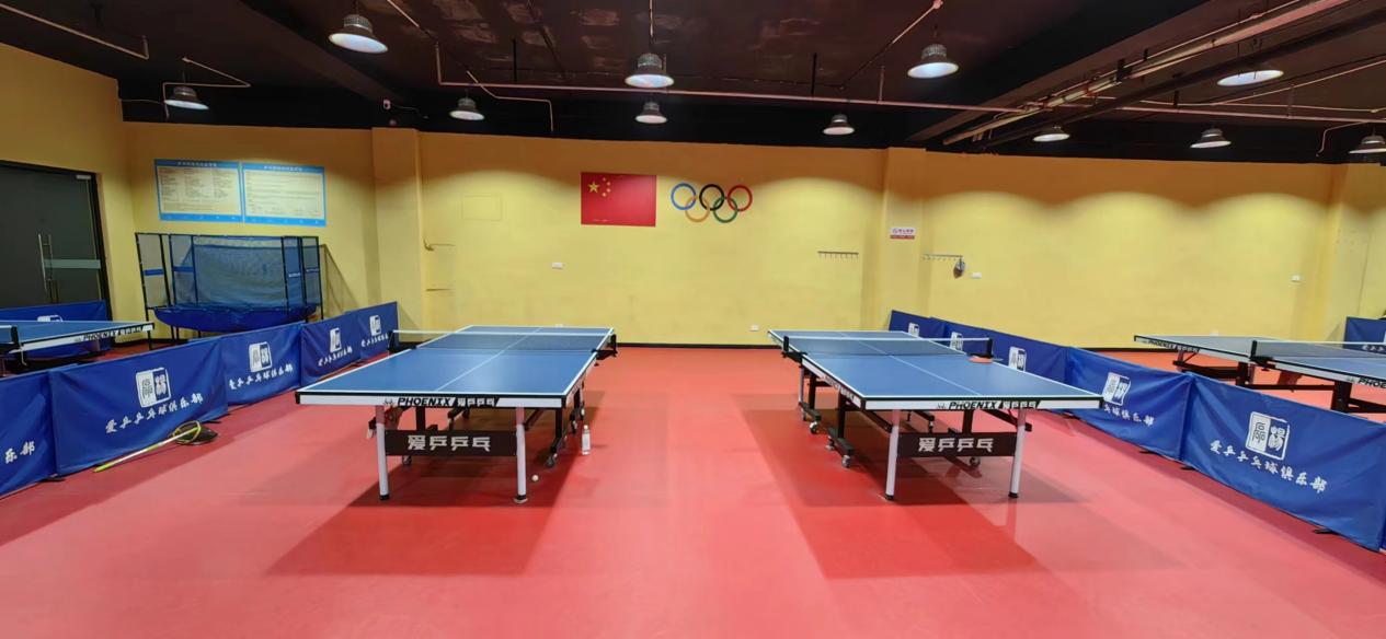 爱乒乒乓球俱乐部|孩子的爱和健康从这里出发