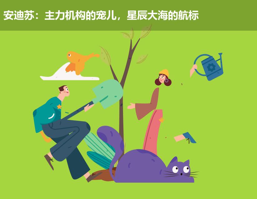 安迪苏:主力机构的宠儿,星辰大海的航标