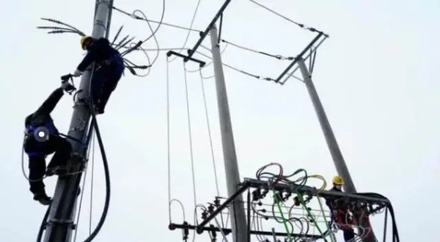 案例:哈尔滨"电霸"李伟:贪污数亿包庇亲弟玩弄女性,被判死刑