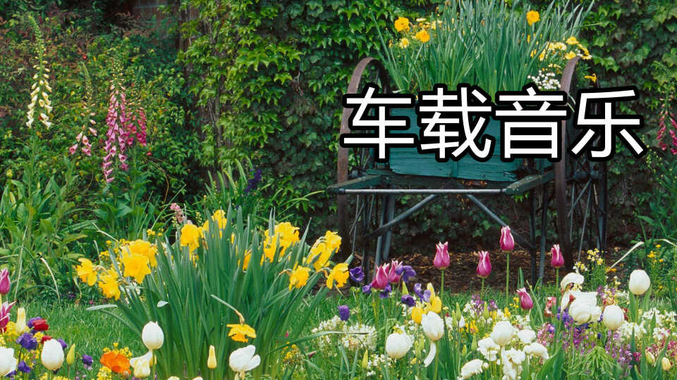 mp3听歌推荐_中文舞曲_车载歌曲大全_音乐包大全歌单推荐