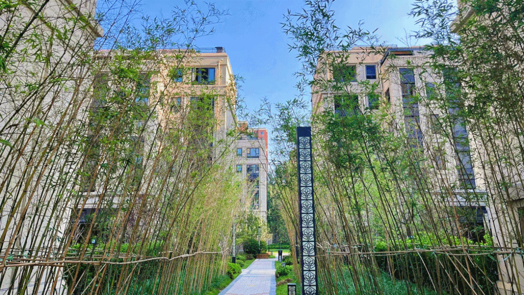 和昌地产水岸花城夏日活动爆火欢乐抢购不停歇