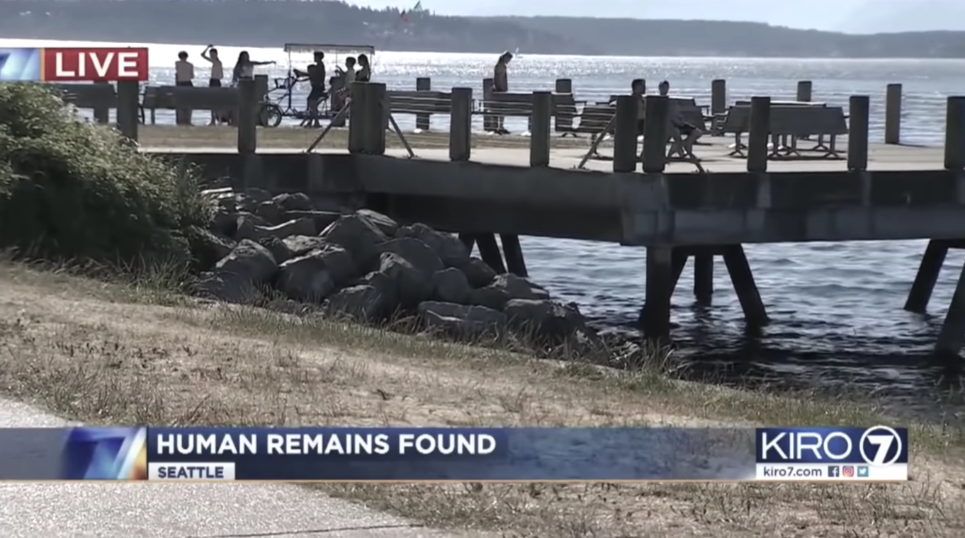 诡异软件,神秘的随机坐标,凶案现场|randonautica的黑暗世界