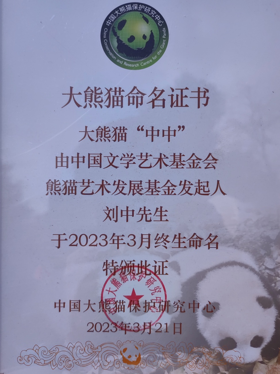 邮缘四十载 中中今世情