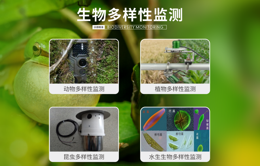 生态质量综合监测—生物多样性监测