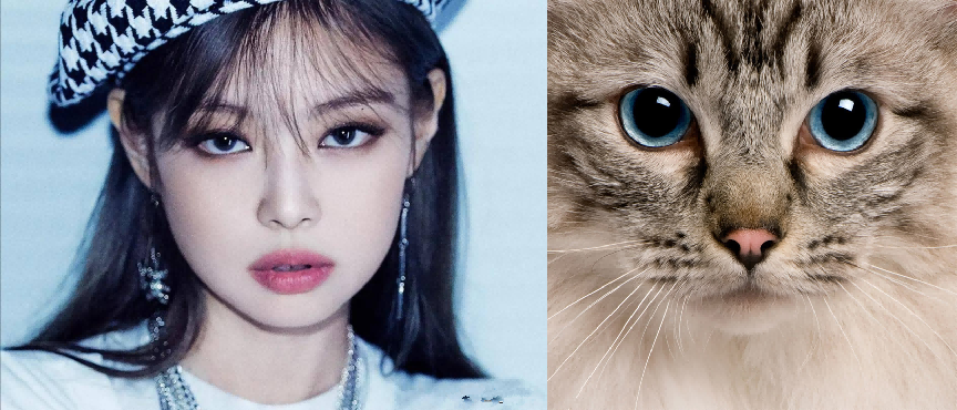 人间香奈儿,blackpink全能ace,jennie的猫系长相有多绝?