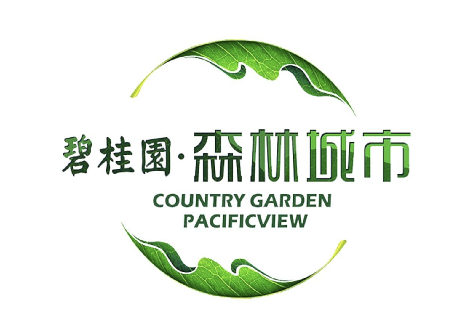 碧桂园事件引发示范房企融资追问,"第二支箭"卡在哪里?