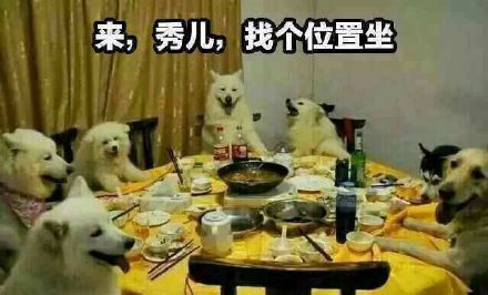 视界数据:视频号达人的现状与未来