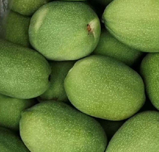 多方比较:番木瓜和木瓜的区别