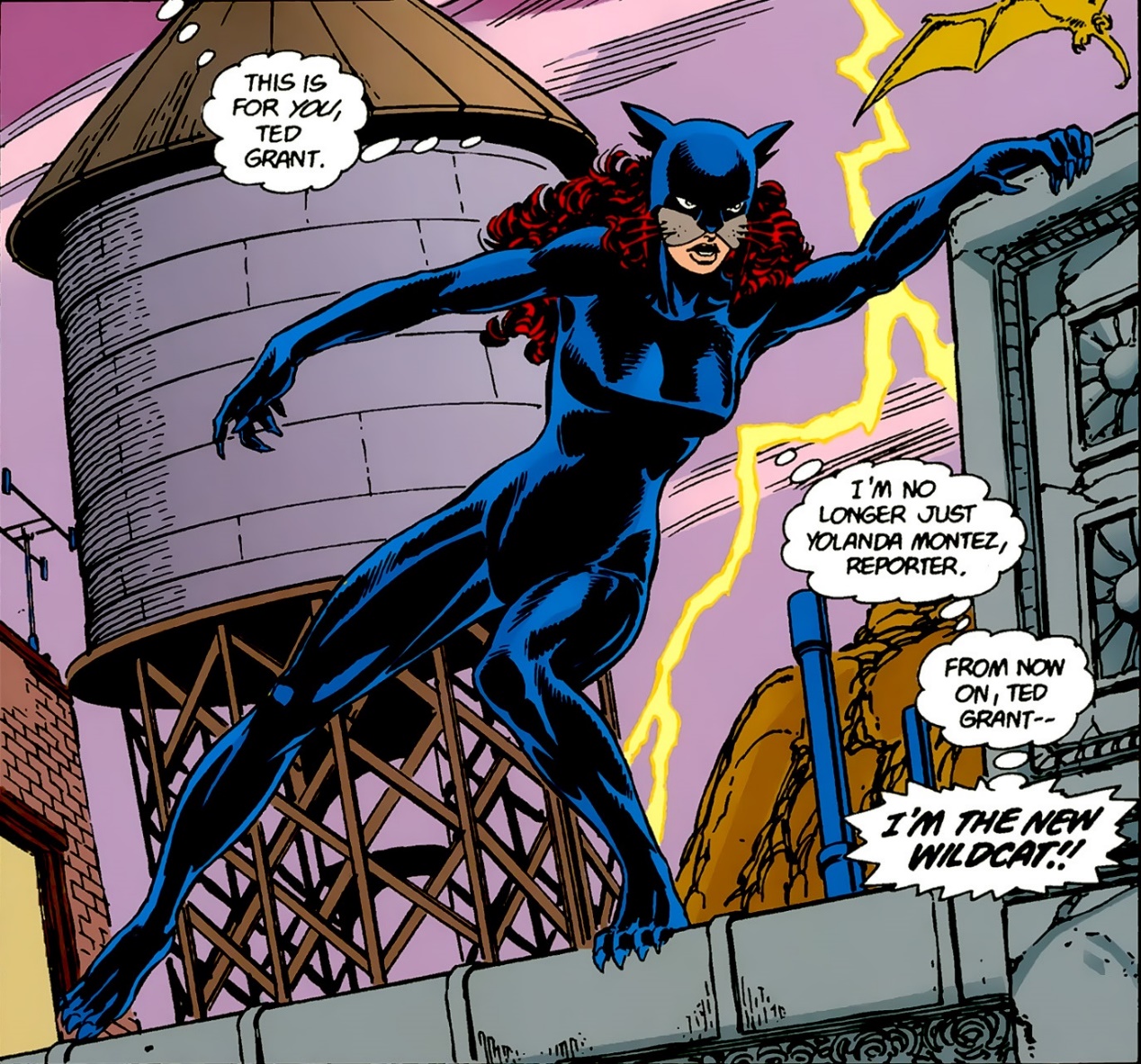 dc英雄野猫简单科普