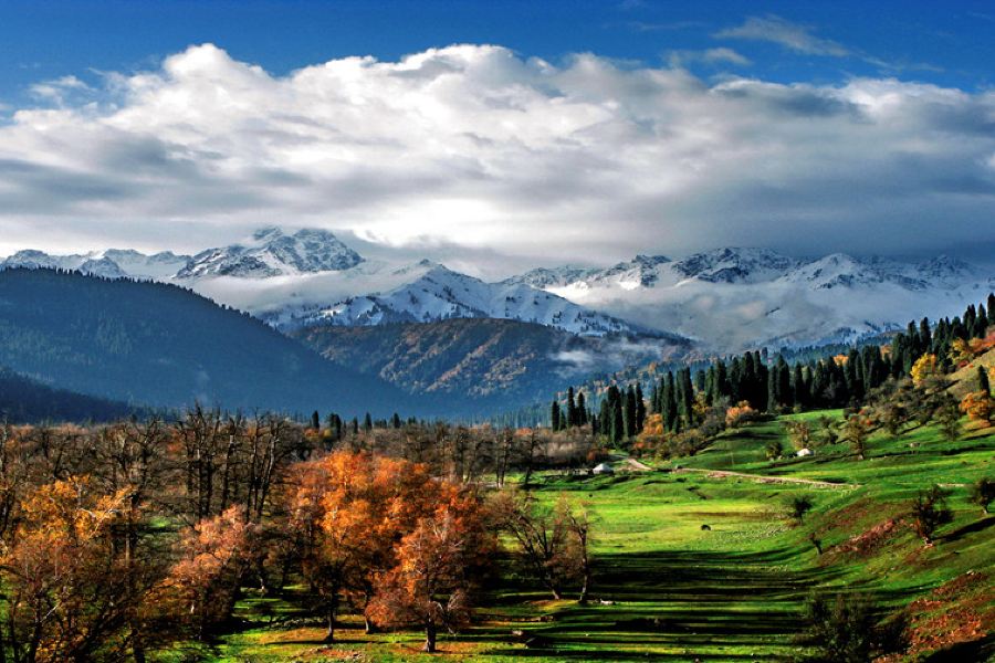 伊犁恰西草原,被游人无视的地方,却是新疆人间绝色