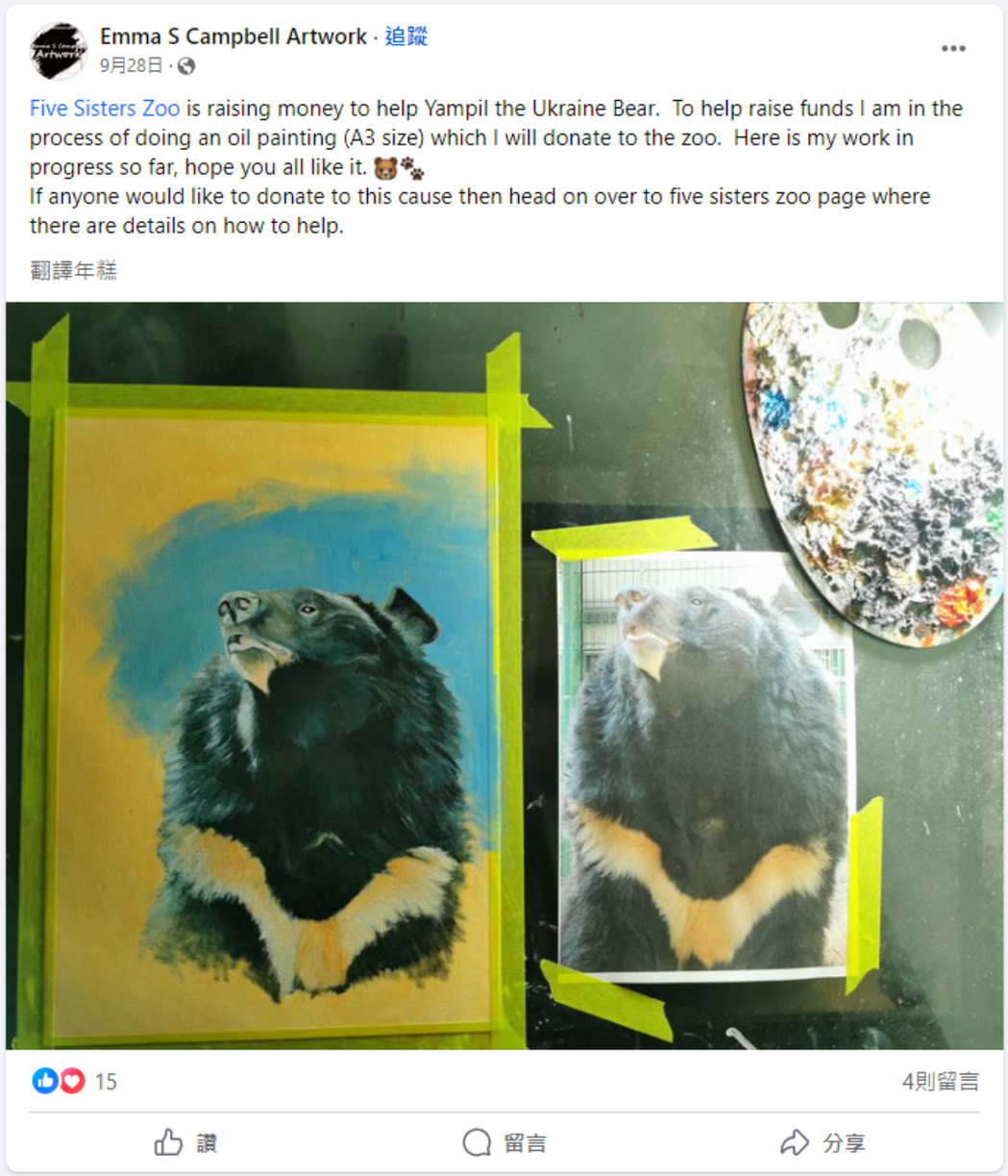 乌克兰战火劫后余生的动物奇迹:黑熊扬皮尔