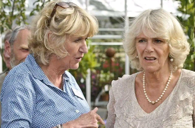 卡米拉把王室搞得乌烟瘴气,威廉王子清洗后宫,誓要除掉祸害