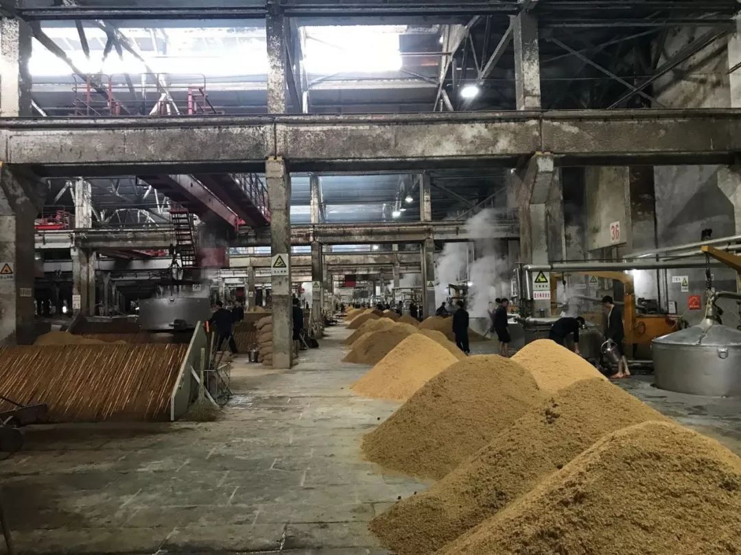 四川宜宾的一家小酒厂,曾经靠贴牌酒维持生计,如今市值破百亿