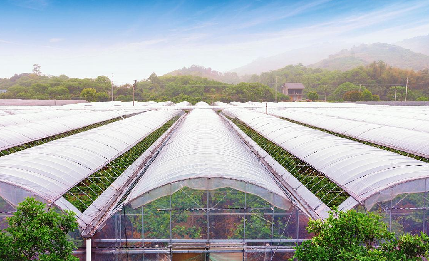 农业大棚,实现农业绿色高效发展的利器