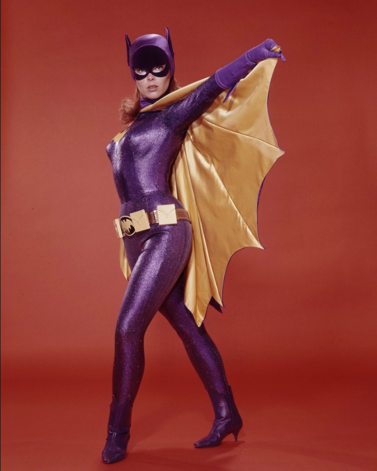 蝙蝠侠第一部女主角图片