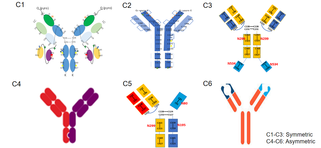 卓越平台|汉腾生物双特异性抗体和lgm的开发策略
