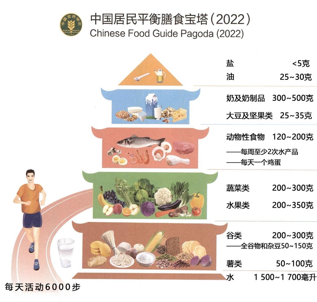 中国膳食金字塔2021图片