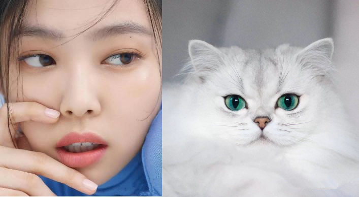 人间香奈儿,blackpink全能ace,jennie的猫系长相有多绝?