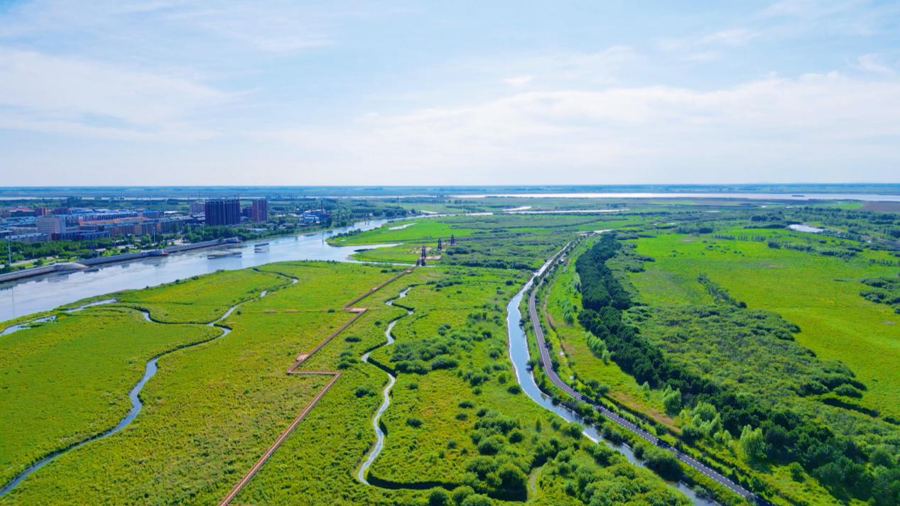 黑龙江同江:看得见"青山" 望得见"绿水"