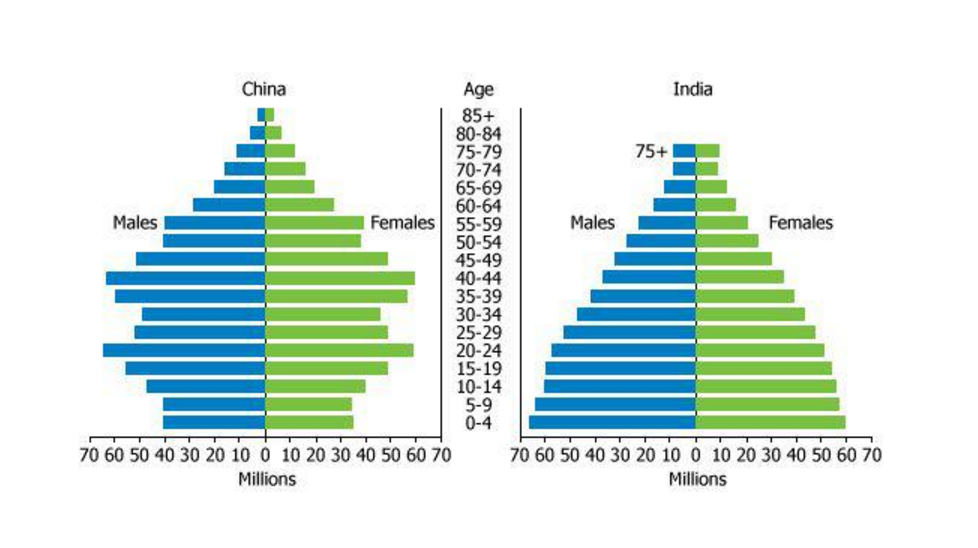 与其纠结龙象之争不如关注龙鹰搏斗