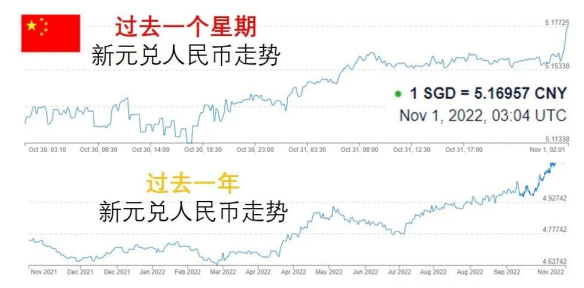 新幣兌人民幣匯率再創新高!直逼5.2,然而卻愁壞了這些人