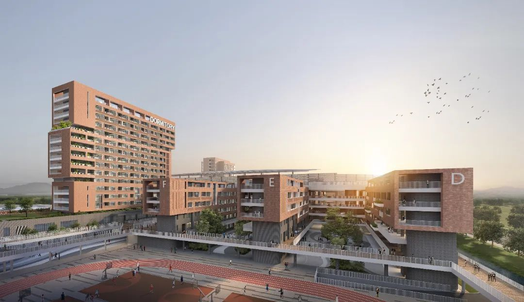 顺德适子未来学校的招生方案为何引起如此大的争议?