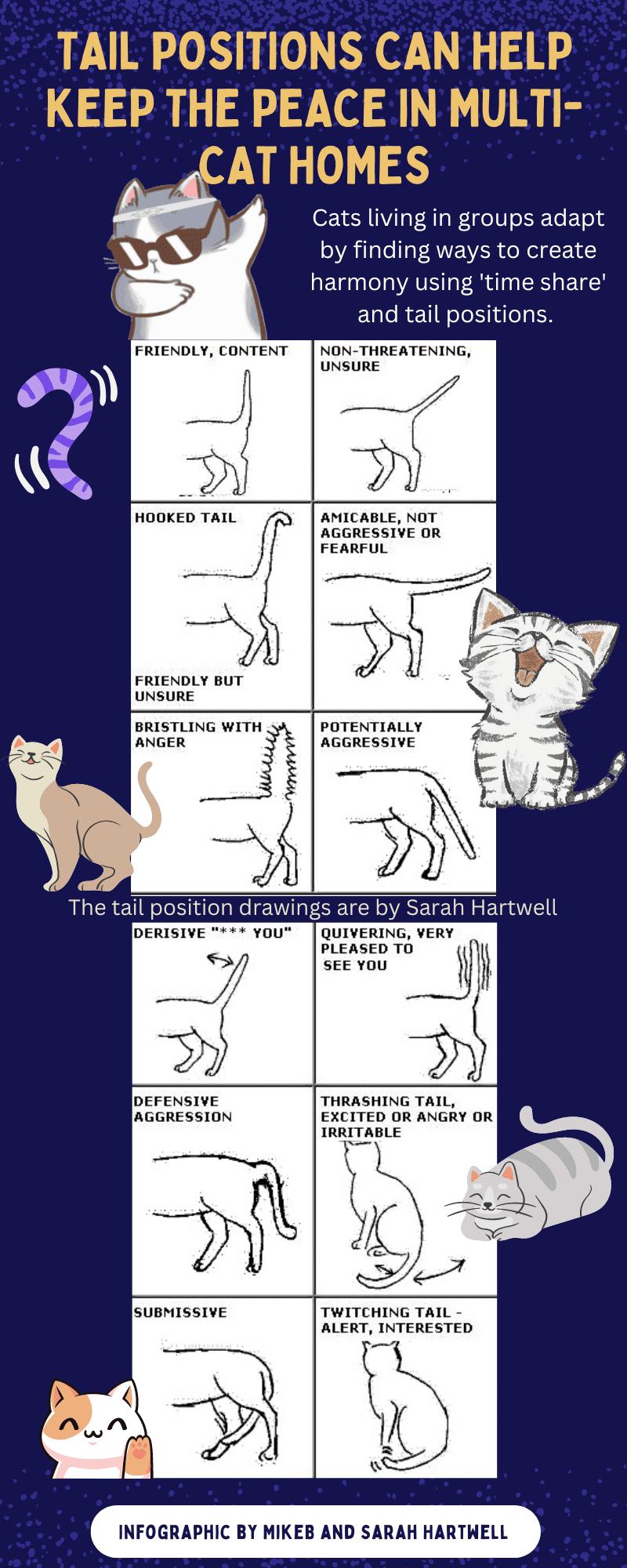 布偶猫发出咕噜咕噜的声音是什么意思?