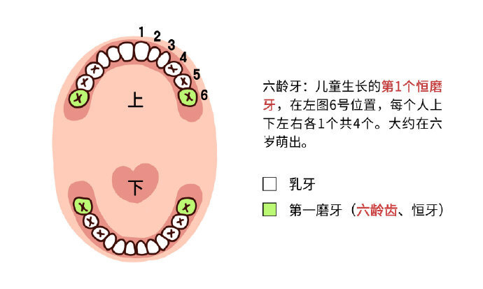 兒童牙齒保健知識彙總:提醒19大危害禁忌!