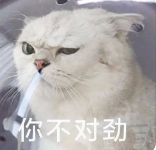 什么软件可以搜索附近50米以内的人?