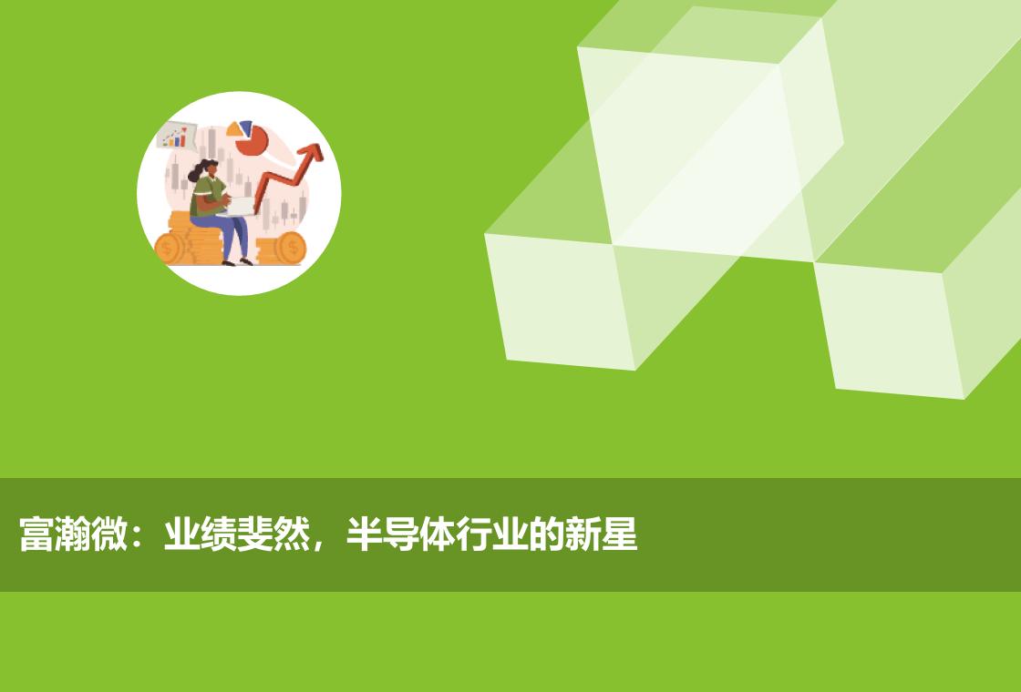 富瀚微:行业领军企业,投资者眼中的璀璨明星