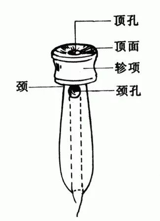 3分鐘瞭解古琴的構造與特點