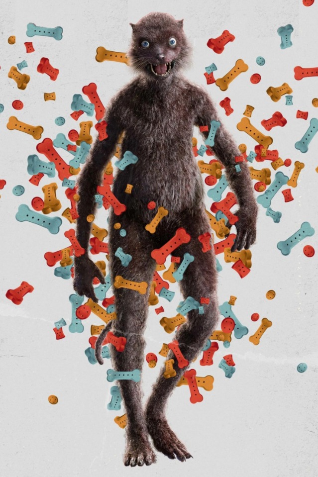 dc反派黄鼬全科普